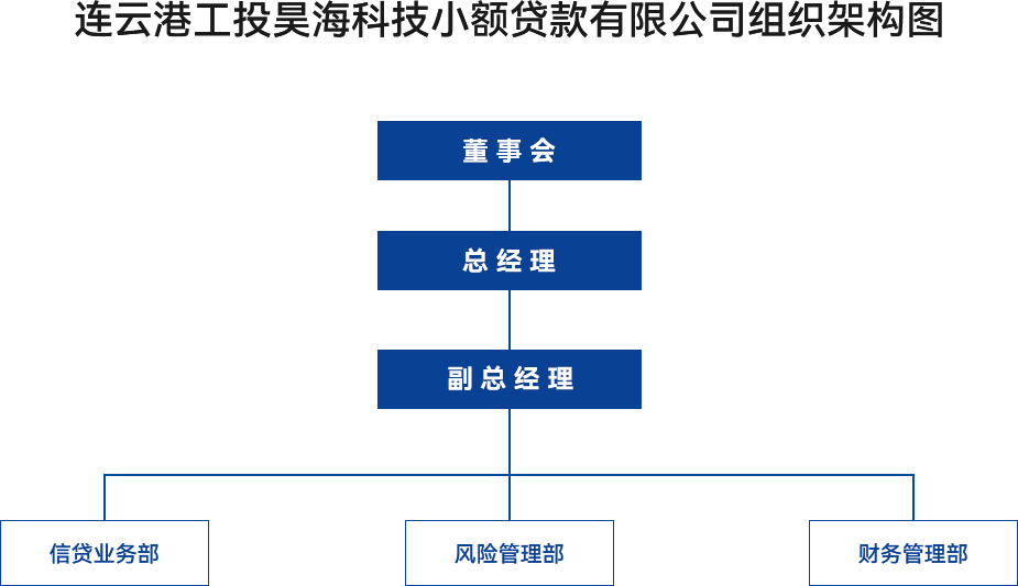 金融闆塊-連雲港工(gong)投(tou)昊海科(ke)技(ji)小(xiǎo)額貸款有(yǒu)限(xian)公(gōng)司組織架構圖