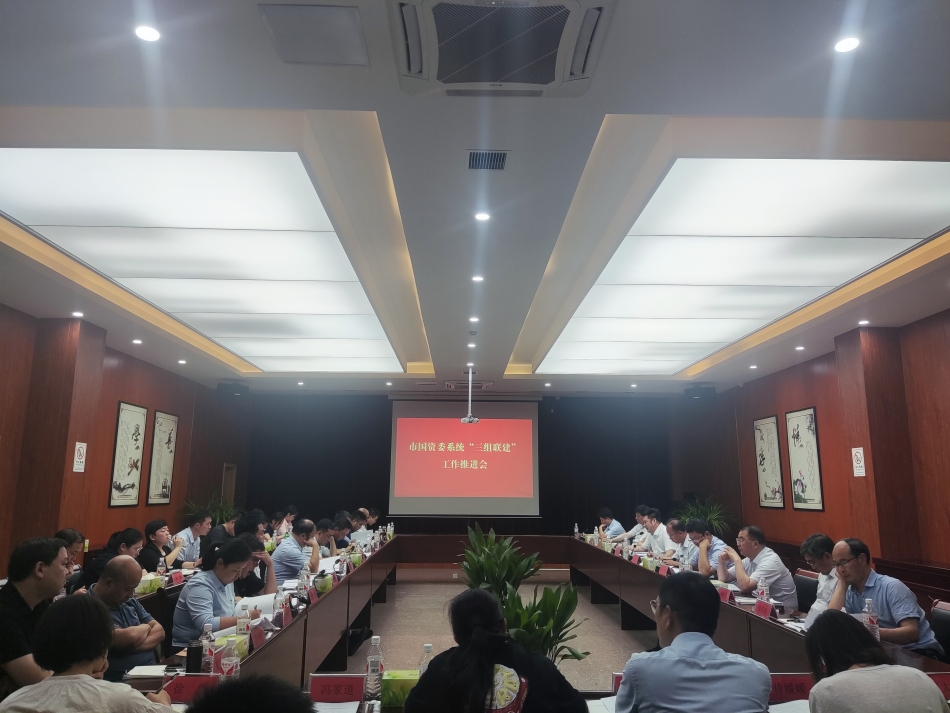 2024年(nian)7月17日(ri),市(shi)國(guo)資(zi)委(wei)係(xi)統在(zai)公(gōng)司開展(zhan)“三組聯(lian)建(jian)”現(xian)場(chang)觀摩(推進(jin)會)_副本(ben)